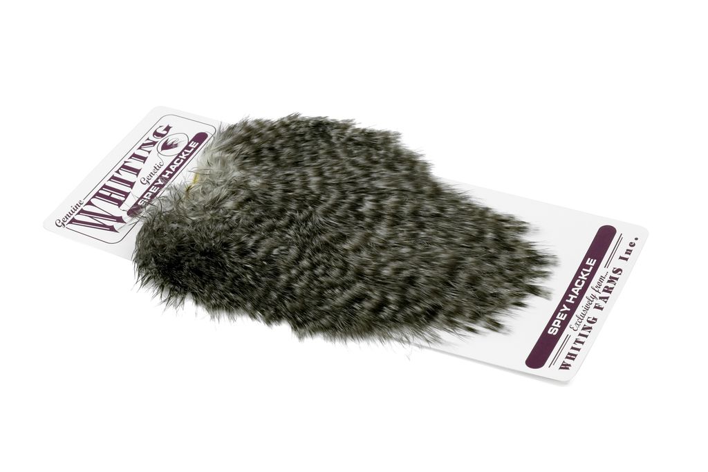 WHITING Spey Hackle Hen Saddle Flyfish Europe AS