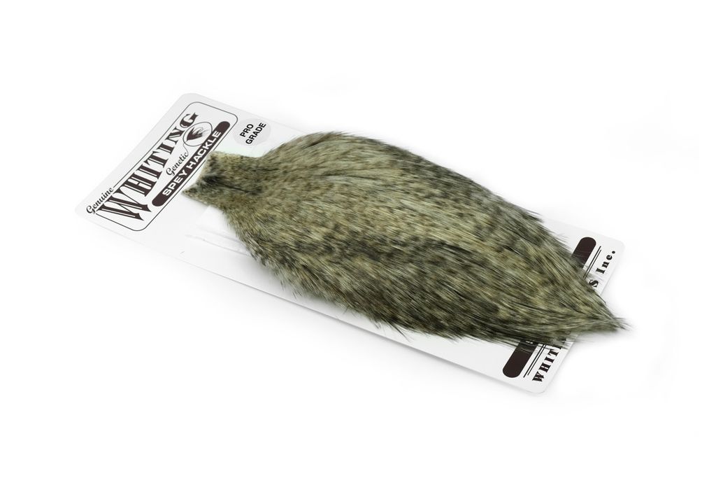 WHITING Spey Hackle Rooster Cape Flyfish Europe AS