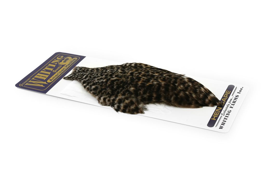 WHITING American Hen Cape Flyfish Europe AS